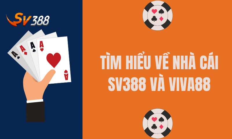 Tìm hiểu về nhà cái Viva88 và SV388